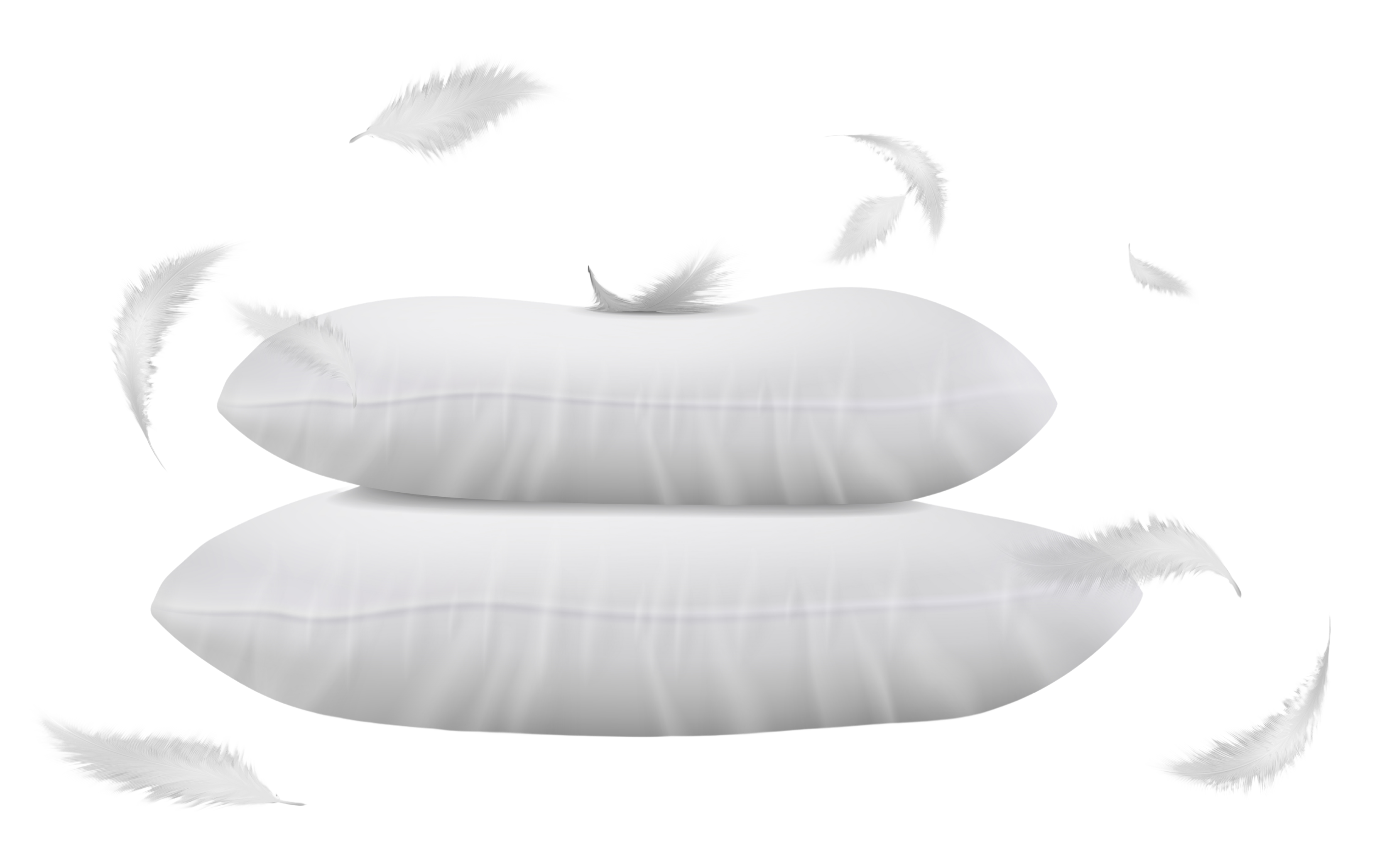 Pillow Manufacturer in India